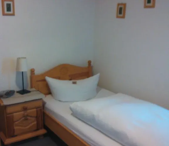 Penzion Zur Muehle Mörlenbach